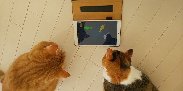 最近の猫はタブレットで遊ぶ