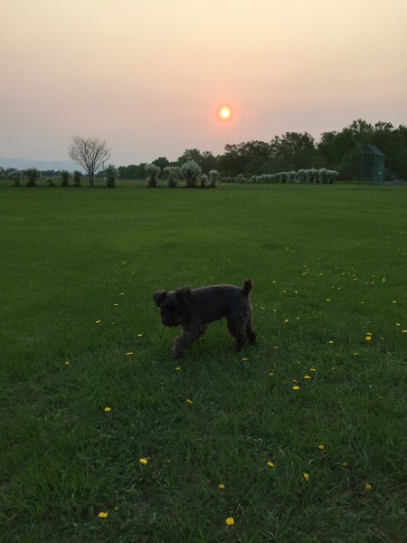 夕陽がもうすぐ沈みます。