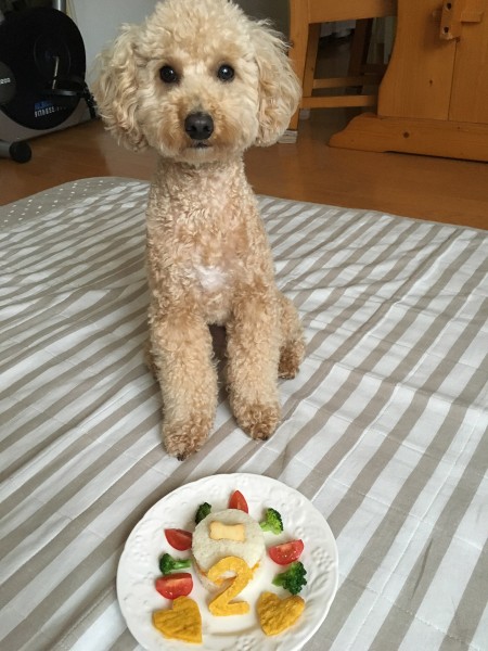 2歳になりました♪