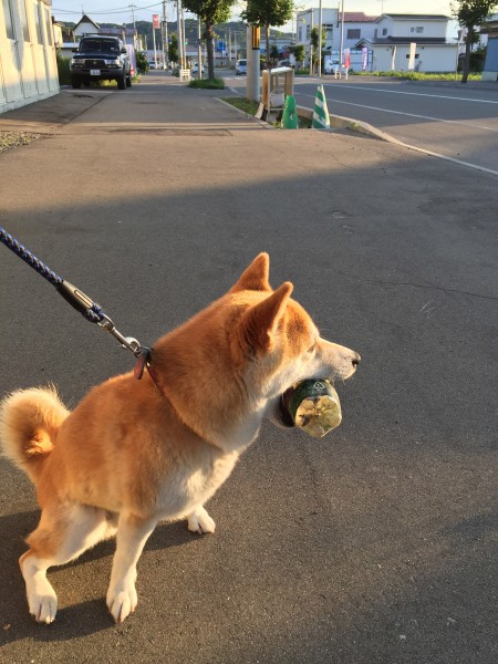 夕日がまぶしいな…。