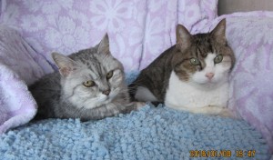 長生きしてね。