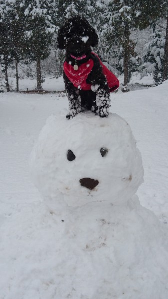 初雪だ〜。