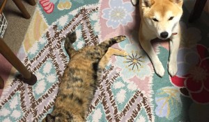 まるとはなの背くらべ！なかなかの良い勝負？