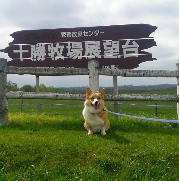 牧場にりく参上！