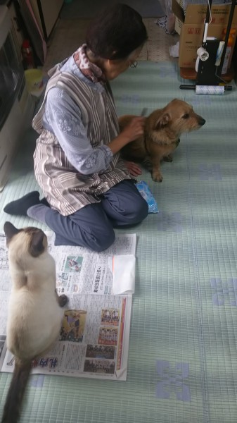 ばぁちゃんのブラッシングは気持ちいだワン♪