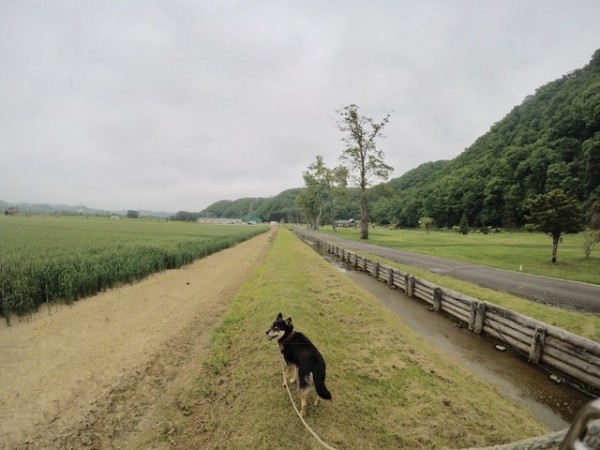 散歩に行ってGoProで撮影!!