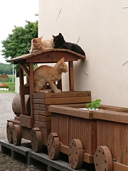 汽車、いつになったら発車するのかなぁ…