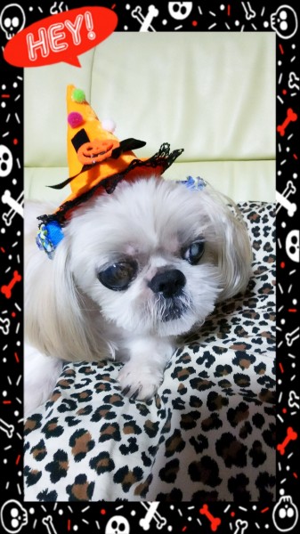 HAPPY ☆ HALLOWEEN