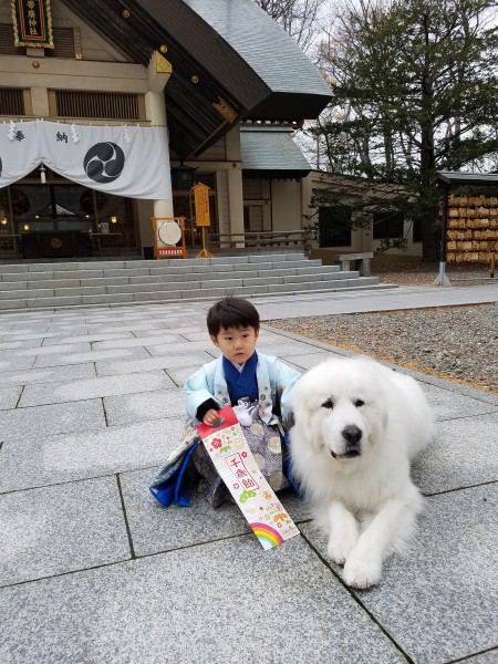 帰ったら仲良く千歳飴食べようね。