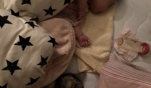 仲良く同じ寝姿の姉妹です。