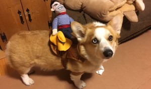 ロデオボーイ by蒼