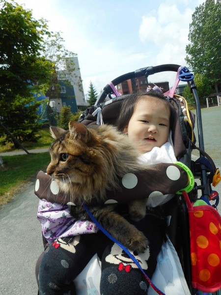 にゃんこ兄ちゃんと公園デビュー！ 滑り台とブランコ楽しかったね★