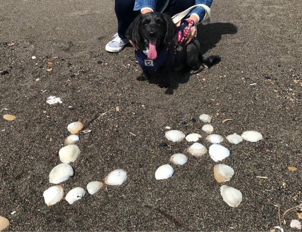 初めての海★