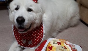 9月26日に10歳を迎えることができました