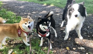 久しぶりに会えたね(o^^o)♫