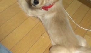 「え？見てた？」