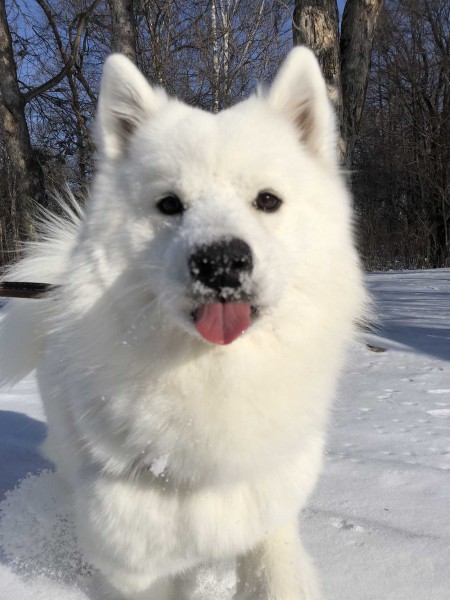 大好きな雪遊びで満足顔