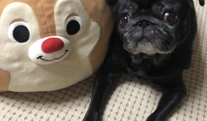 はい！ポーズ(^-^)v