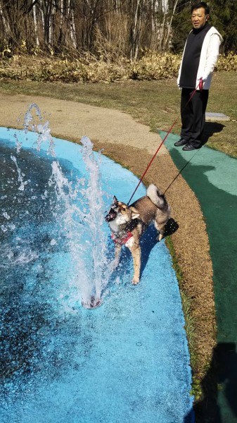 暑い日は 水が美味しいです