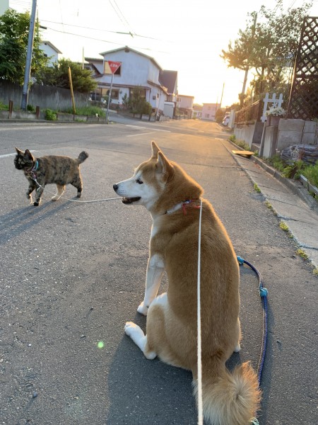 日が長くなりましたね