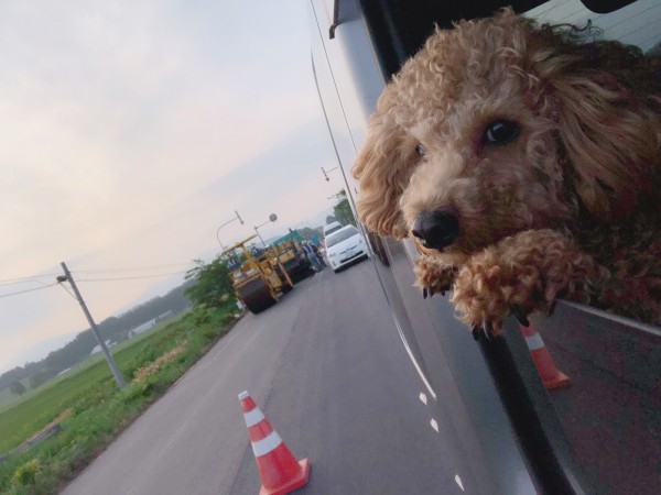 新得の車窓から