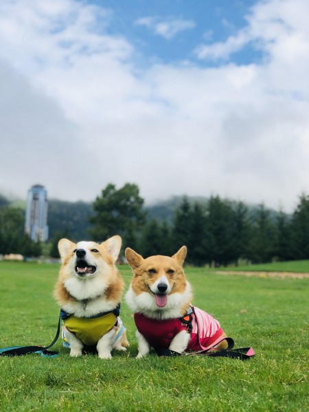 もう秋の空だね♪　蓬＆蒼