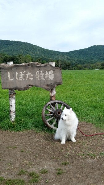 サモちゃんもしばた牧場に行ってきたよ♪