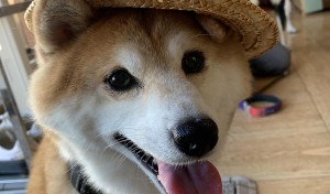 お帽子似合う？