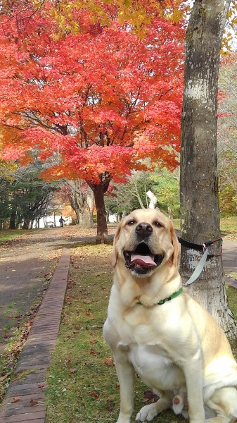 奇麗な紅葉でしたよ。笑顔？でパチリ！