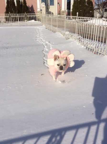 雪降ったよ！ 「足ちめたいよ～！」