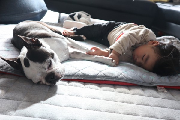 仲良くお昼寝中☆