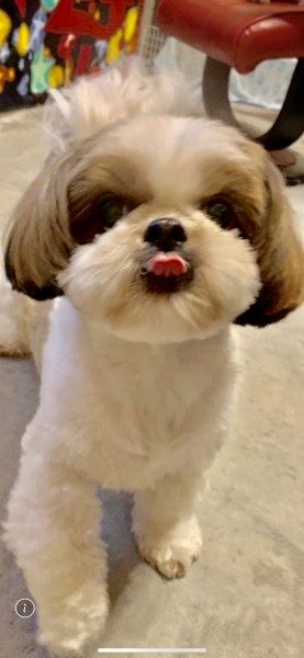 僕とチューしませんか？