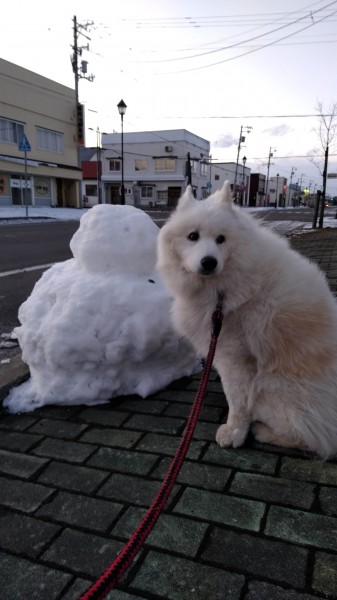 「雪だるま」記念に1枚！