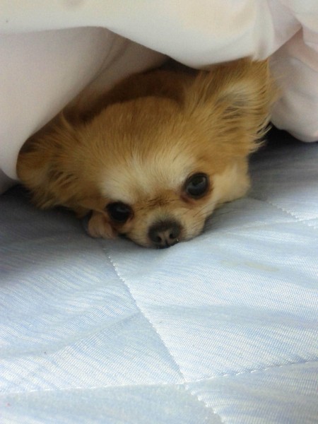 布団から出たくないよ～