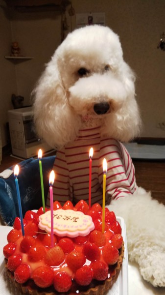 お父さんのケーキだよ！！