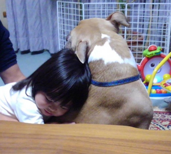 ぎゅーーーっ　なんだかんだ大好きな1歳コンビ☆