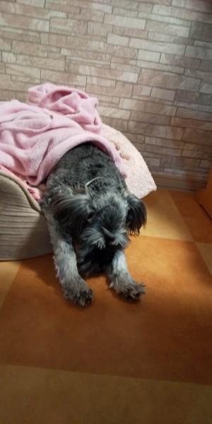 どうした！？ うなだれて…(-.-)Zzz