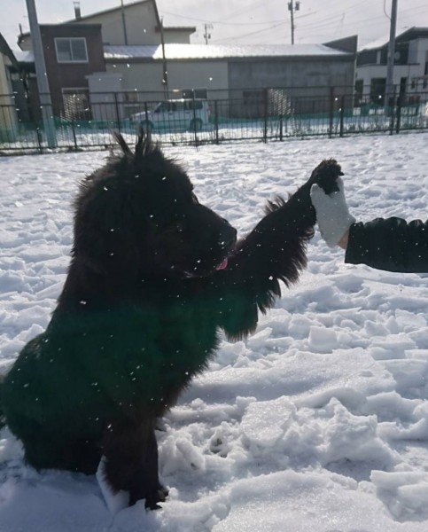 ハイタッチ～♪