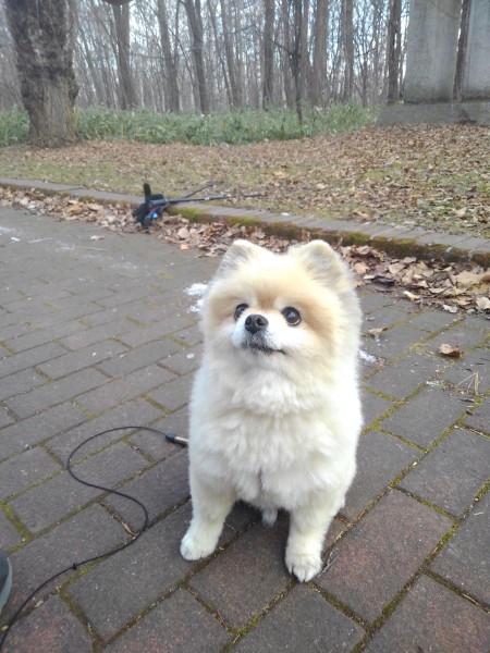 13歳の空ちゃんだって＼(^^)／