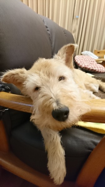 来週は美容室に行ってきまーす