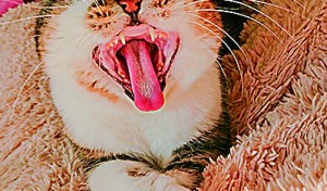 あ～、よく寝た