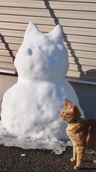 吾輩は猫型雪だるま、目鼻はまだない。