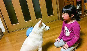 「はづき、お利口さんにお留守番してた？」