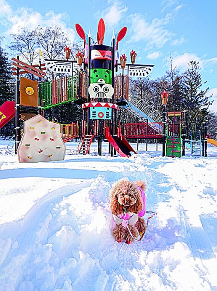 ドカ雪後の暖かさで散歩に来たよ～♪