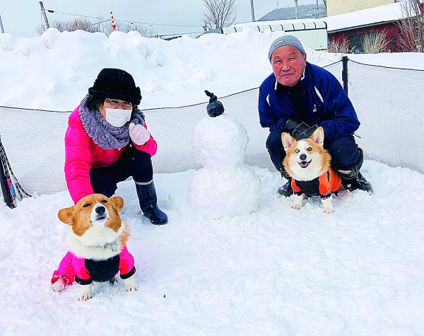 お家ドッグランに雪だるま作ったよ♪蓬＆蒼