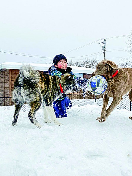 雪上サッカー