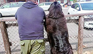 私たち、カップルに見えるかしら？