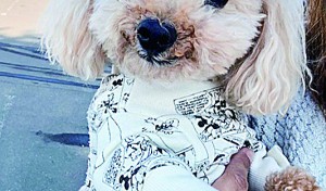 ママとグリンパーク来たよ！！