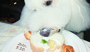 ケーキうまっ～！！