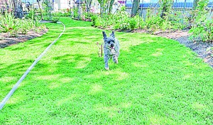 気持ち良いなぁ～